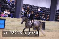 21_BUCK_03088 proof