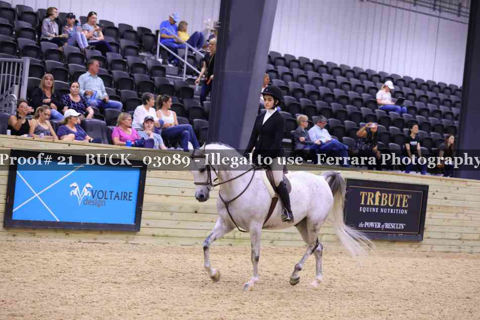 Proof 21_BUCK_03089