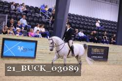 21_BUCK_03089 proof