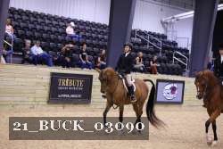 21_BUCK_03090 proof