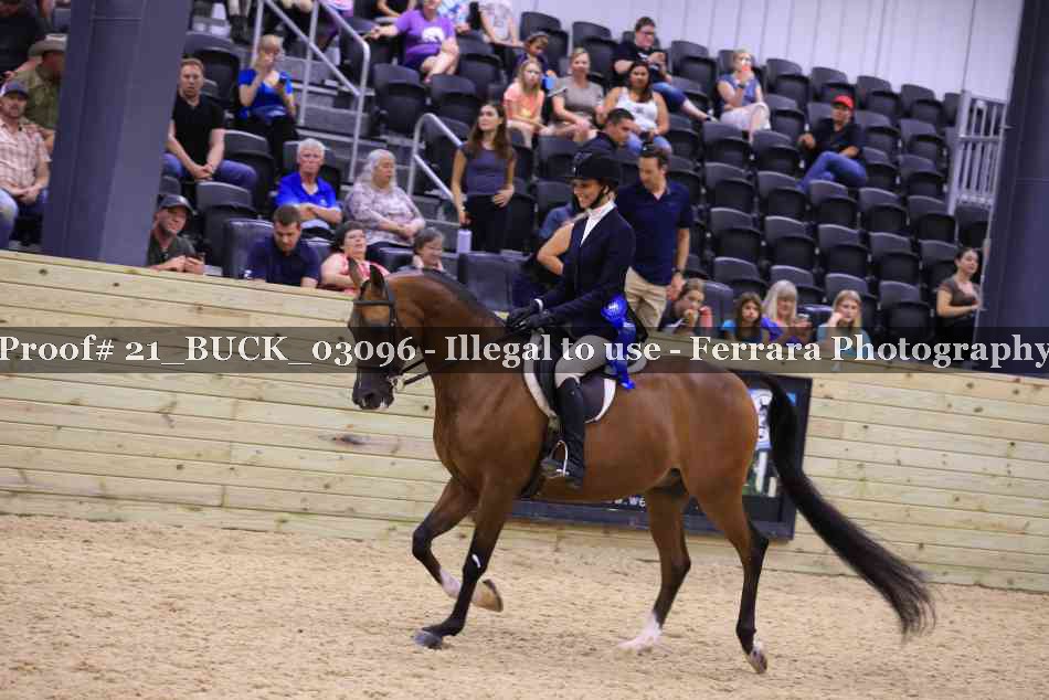 Proof 21_BUCK_03096