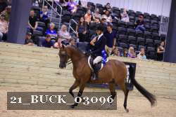 21_BUCK_03096 proof