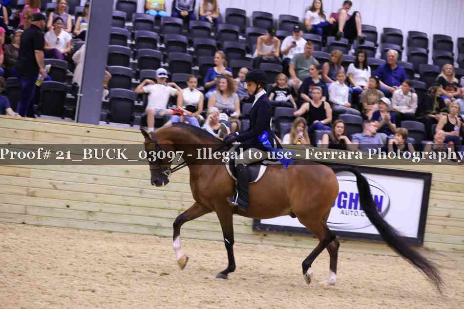 Proof 21_BUCK_03097