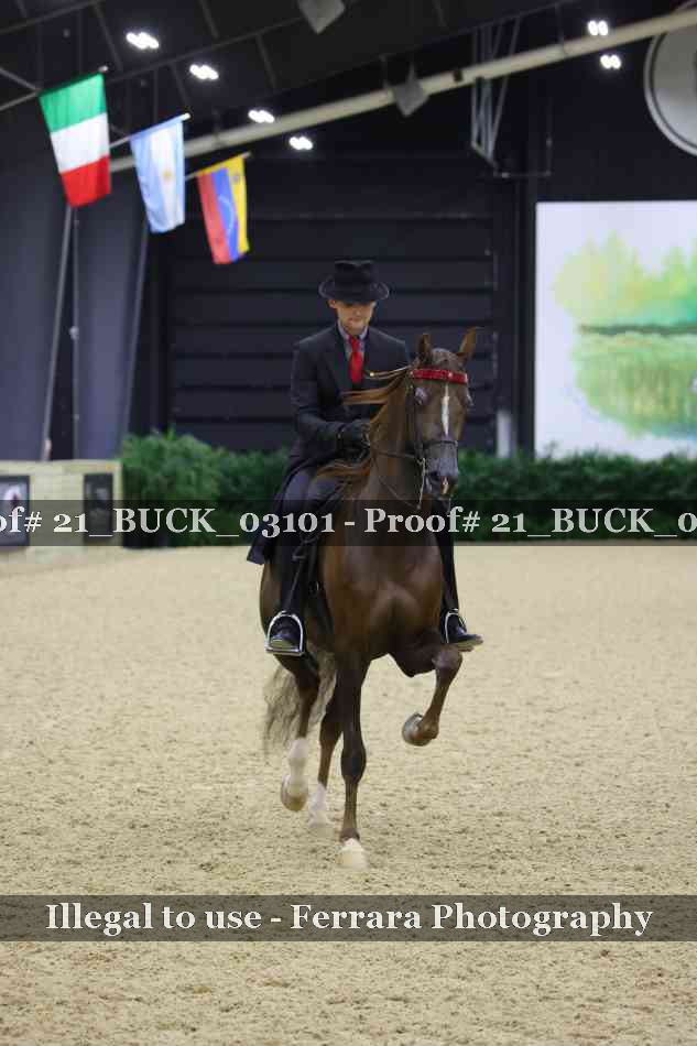 Proof 21_BUCK_03101