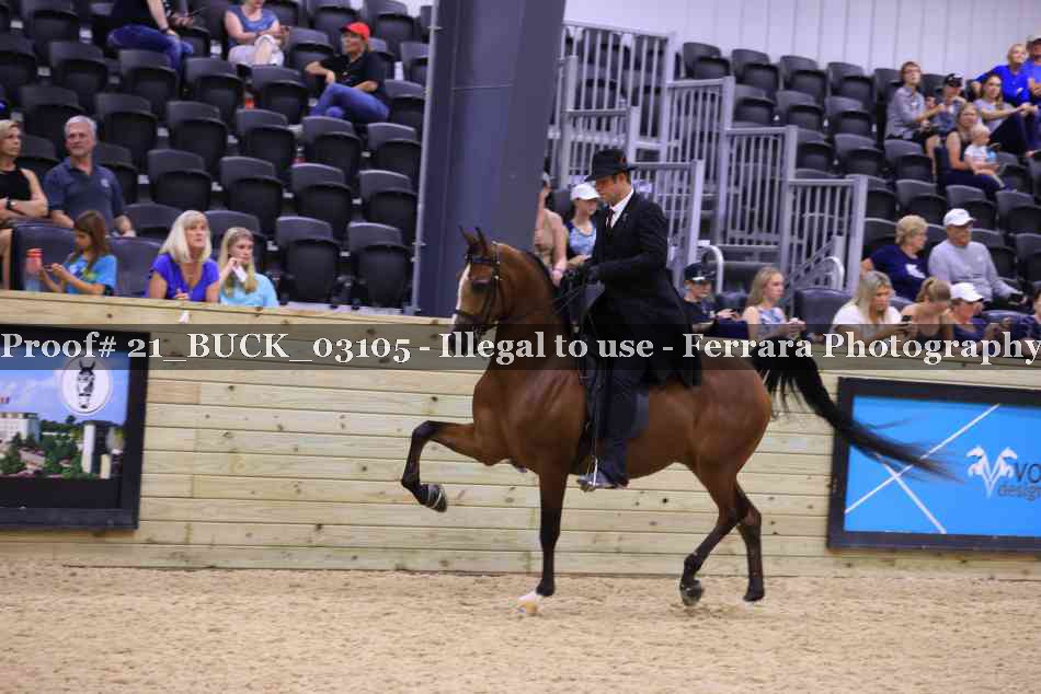 Proof 21_BUCK_03105