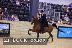 21_BUCK_03105 proof