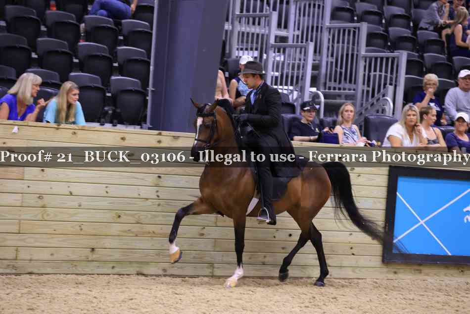 Proof 21_BUCK_03106