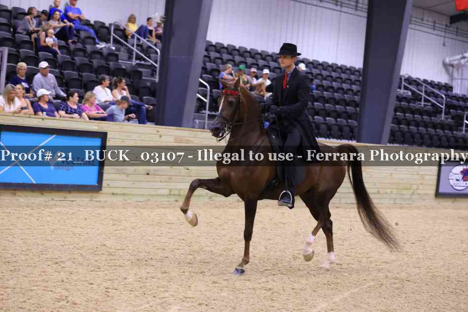 Proof 21_BUCK_03107