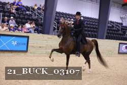 21_BUCK_03107 proof