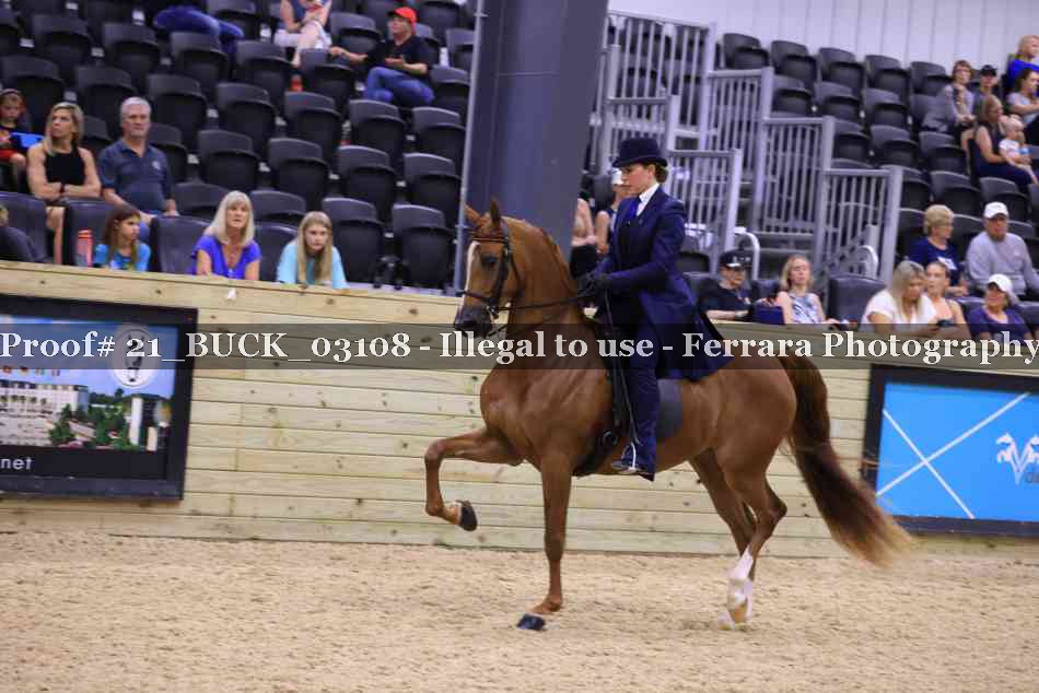 Proof 21_BUCK_03108