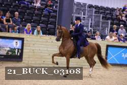 21_BUCK_03108 proof