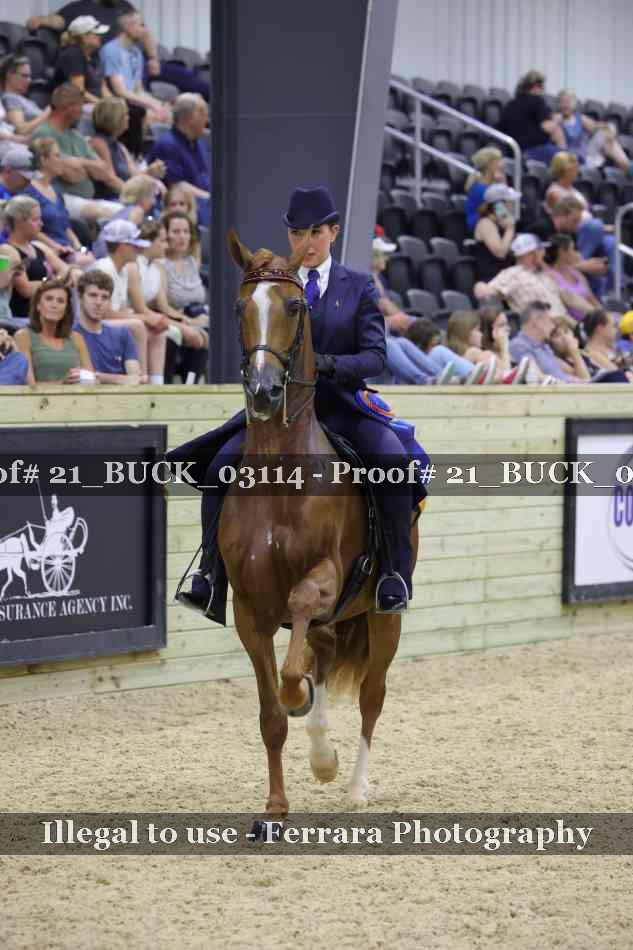 Proof 21_BUCK_03114