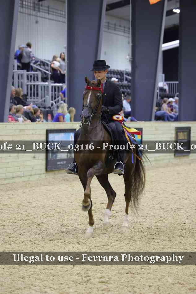 Proof 21_BUCK_03116