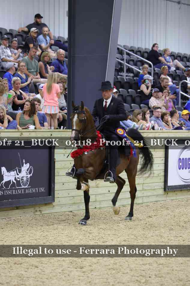 Proof 21_BUCK_03118