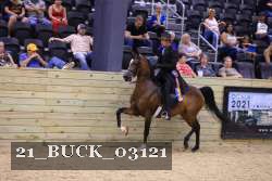 21_BUCK_03121 proof