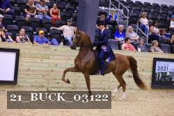 21_BUCK_03122 proof