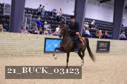 21_BUCK_03123 proof