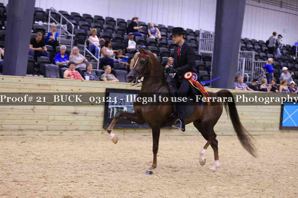 Proof 21_BUCK_03124