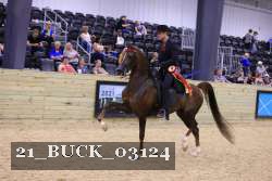 21_BUCK_03124 proof