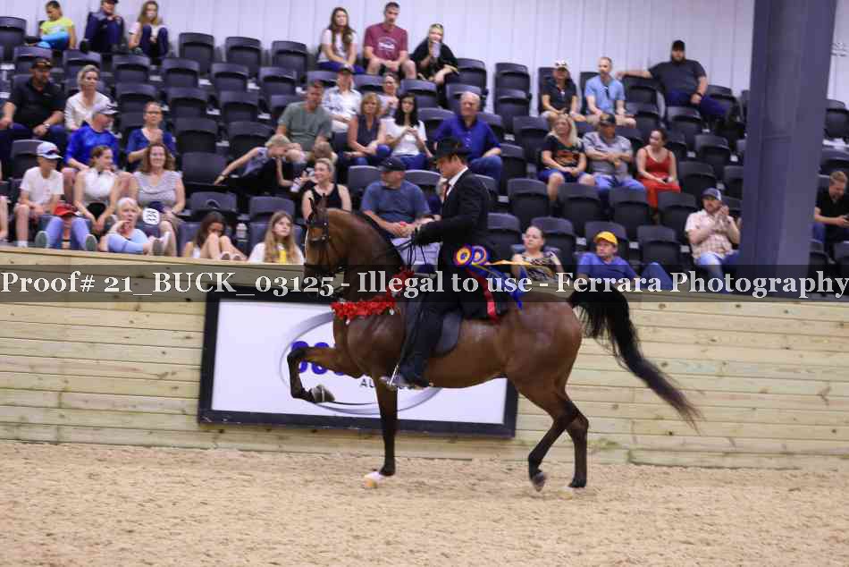 Proof 21_BUCK_03125