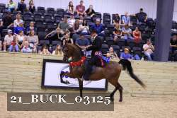 21_BUCK_03125 proof