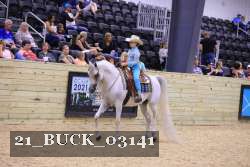 21_BUCK_03141 proof
