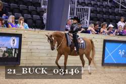 21_BUCK_03146 proof