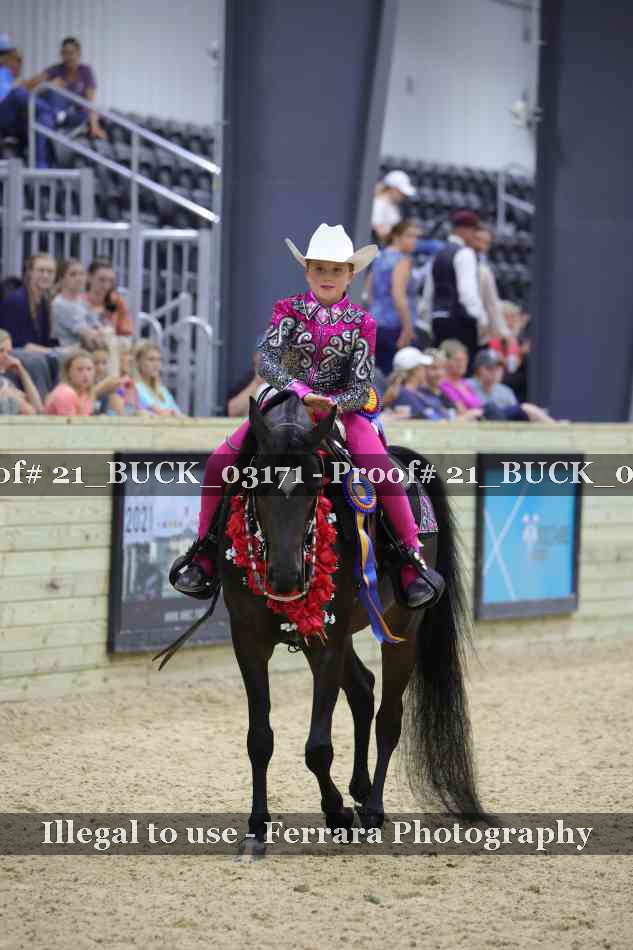 Proof 21_BUCK_03171