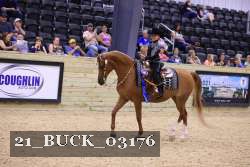 21_BUCK_03176 proof