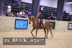 21_BUCK_03177 proof