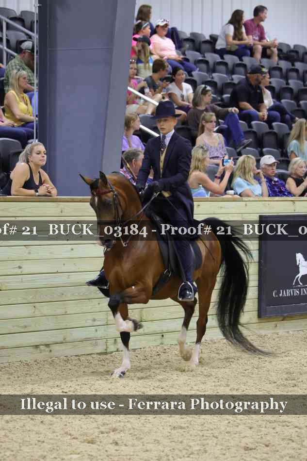 Proof 21_BUCK_03184