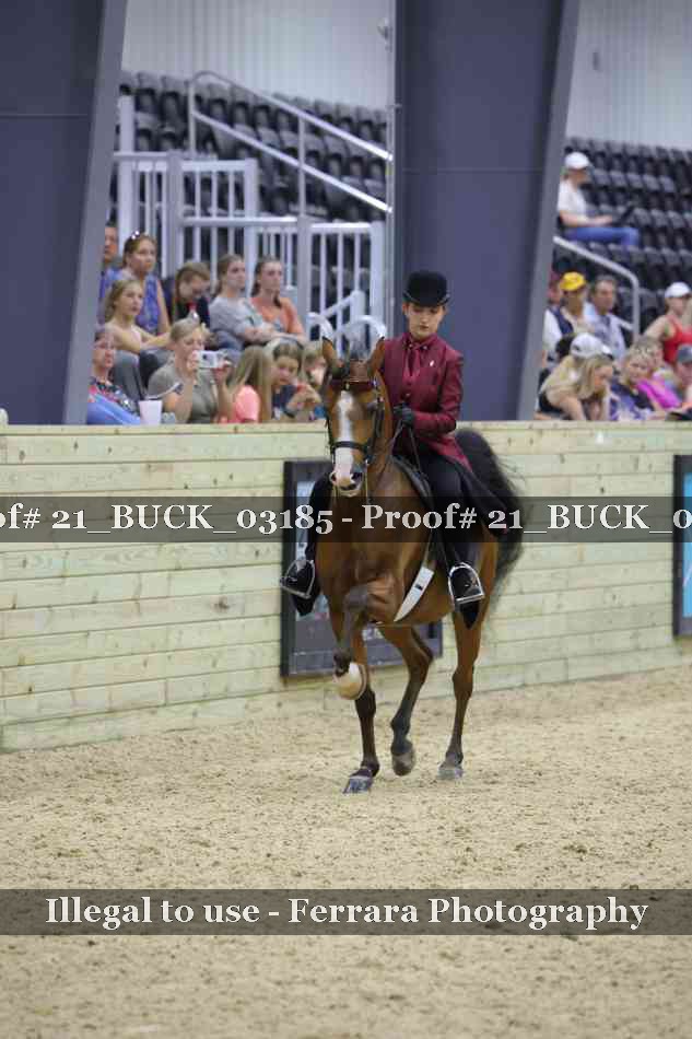 Proof 21_BUCK_03185