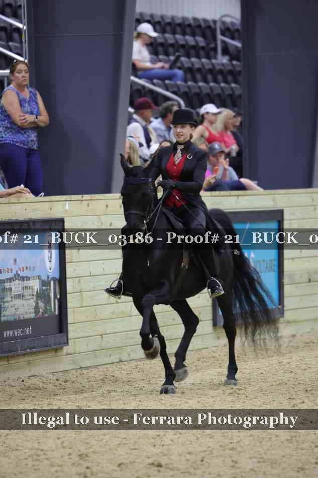 Proof 21_BUCK_03186