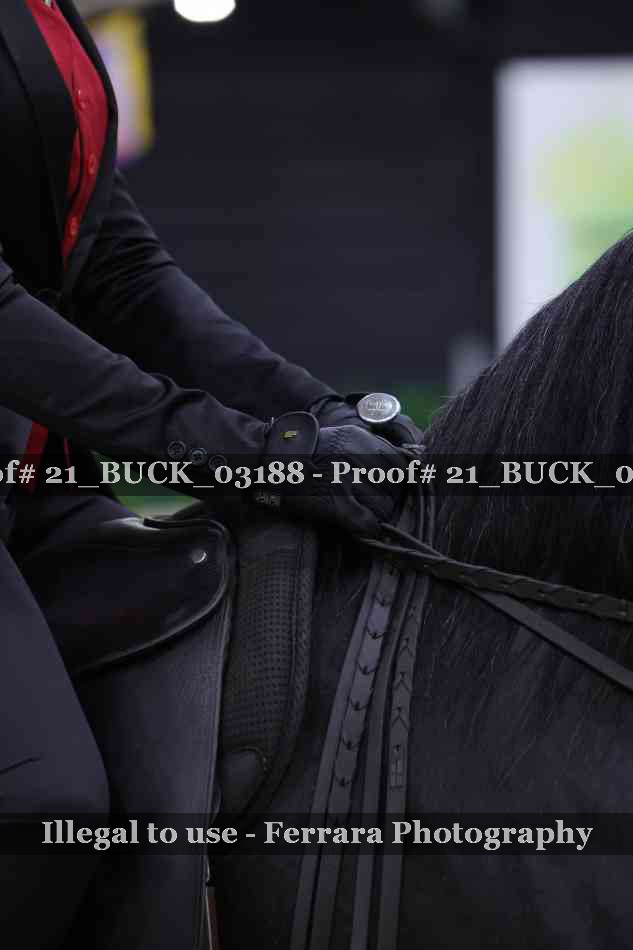 Proof 21_BUCK_03188