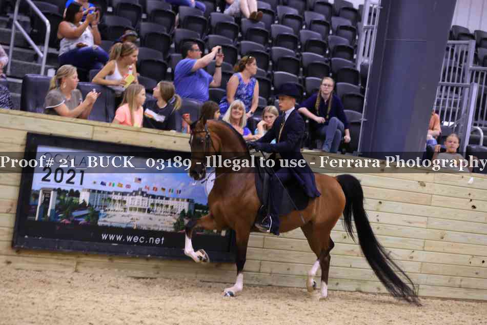 Proof 21_BUCK_03189