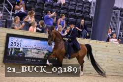 21_BUCK_03189 proof