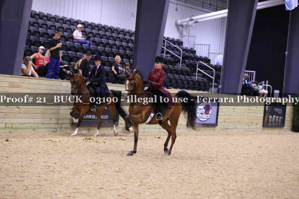Proof 21_BUCK_03190