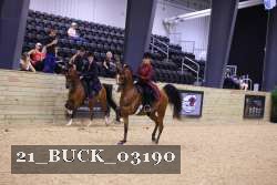 21_BUCK_03190 proof