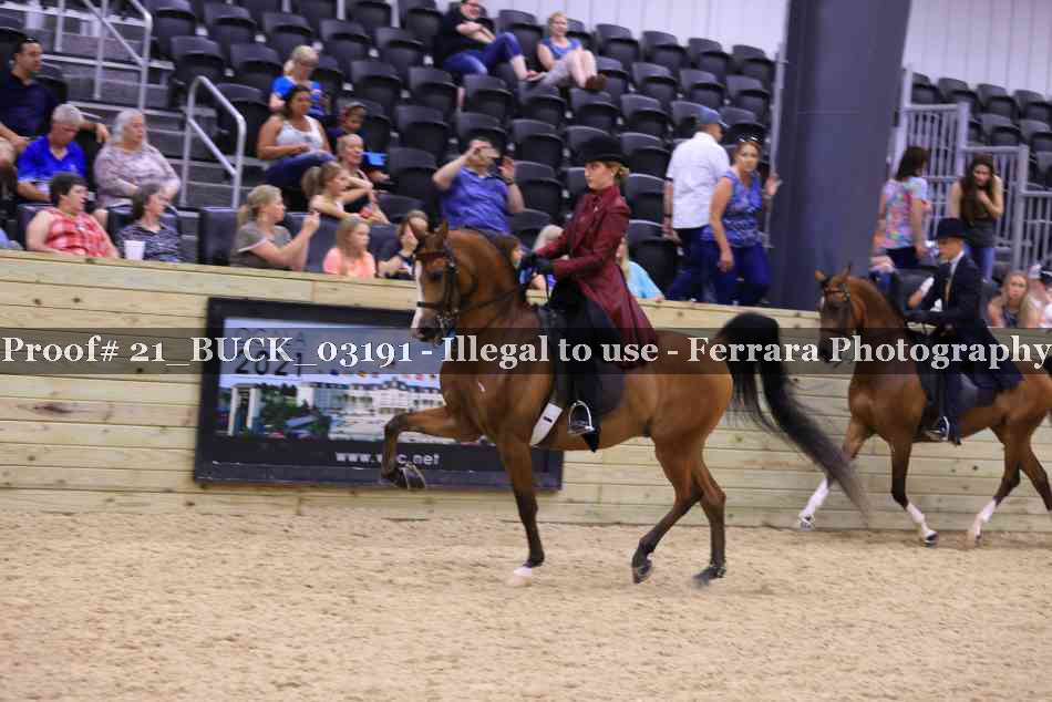 Proof 21_BUCK_03191