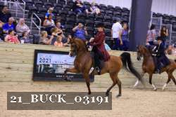 21_BUCK_03191 proof