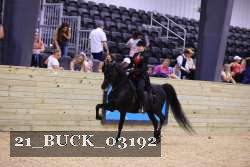 21_BUCK_03192 proof