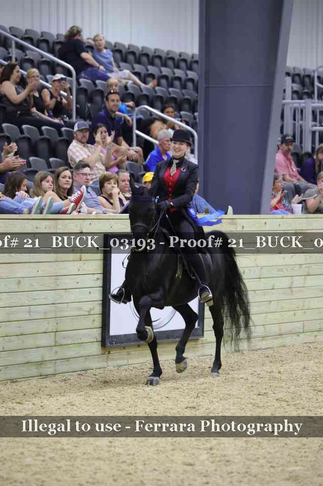 Proof 21_BUCK_03193
