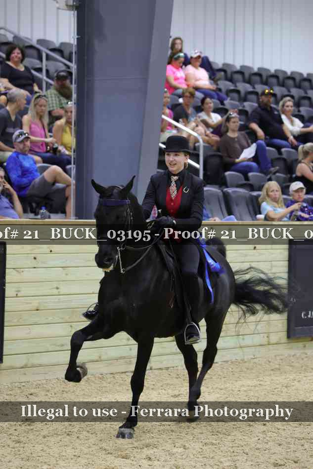 Proof 21_BUCK_03195