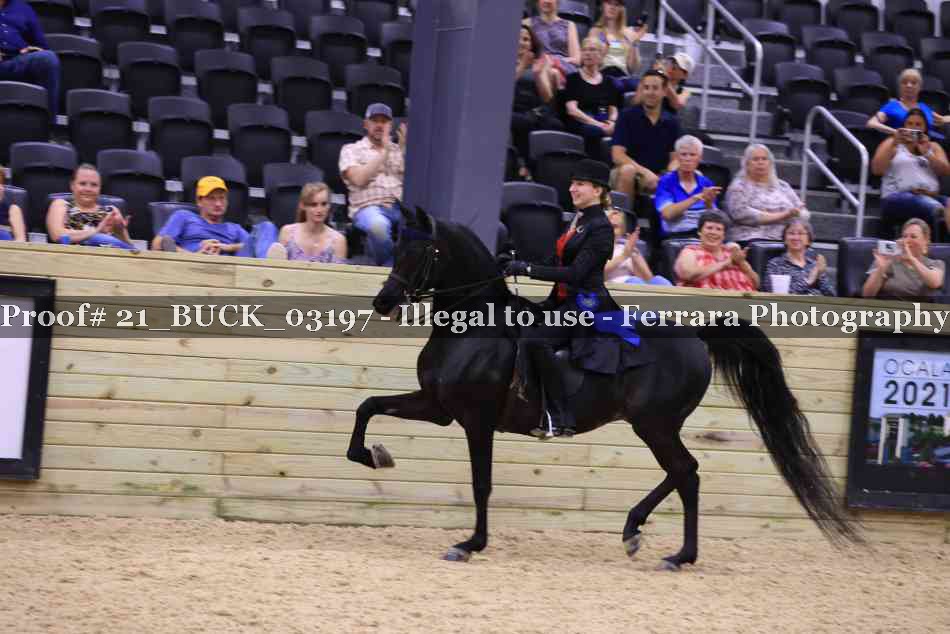 Proof 21_BUCK_03197
