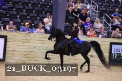 21_BUCK_03197 proof
