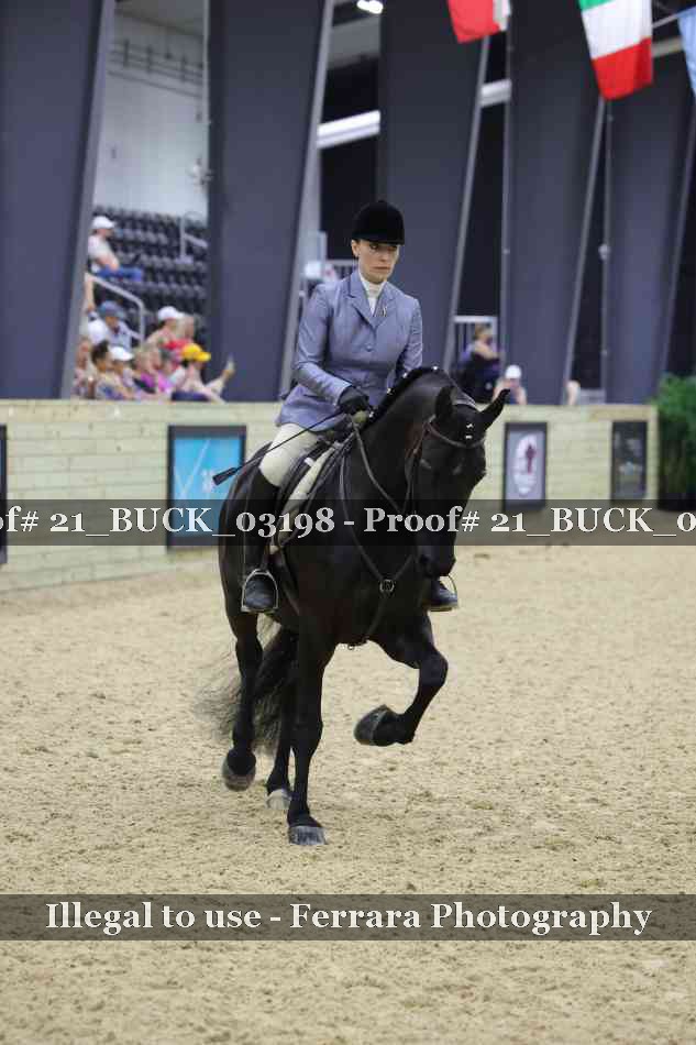 Proof 21_BUCK_03198