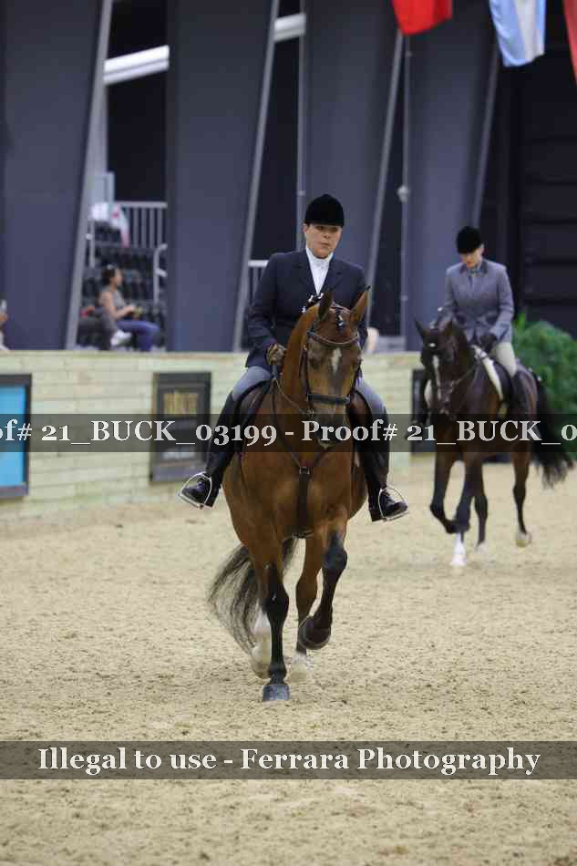 Proof 21_BUCK_03199