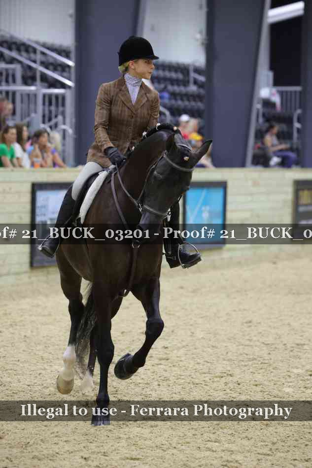 Proof 21_BUCK_03201