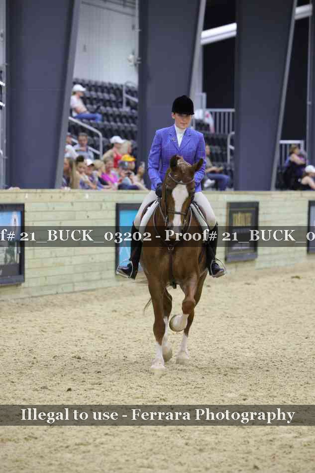 Proof 21_BUCK_03202