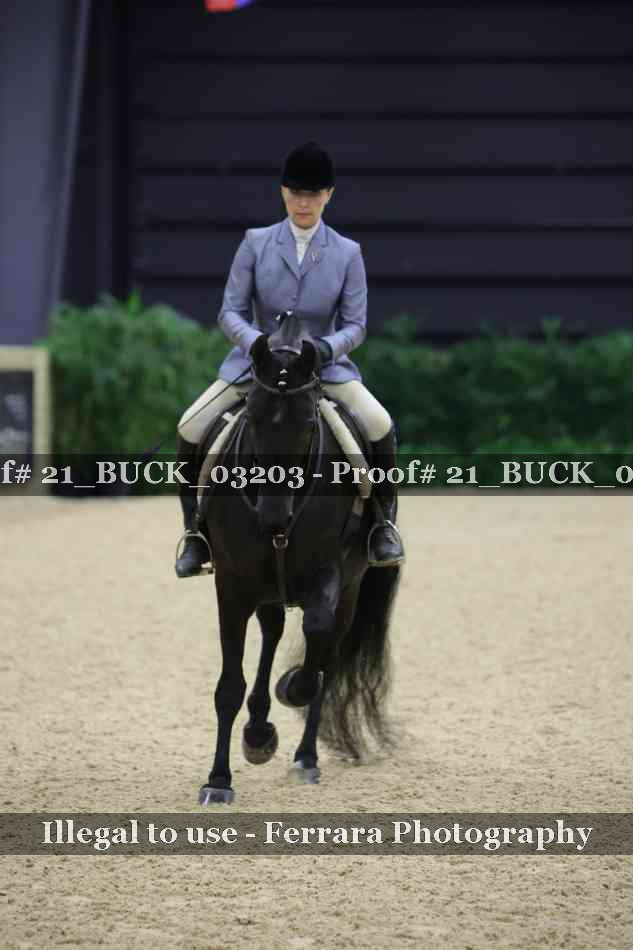 Proof 21_BUCK_03203